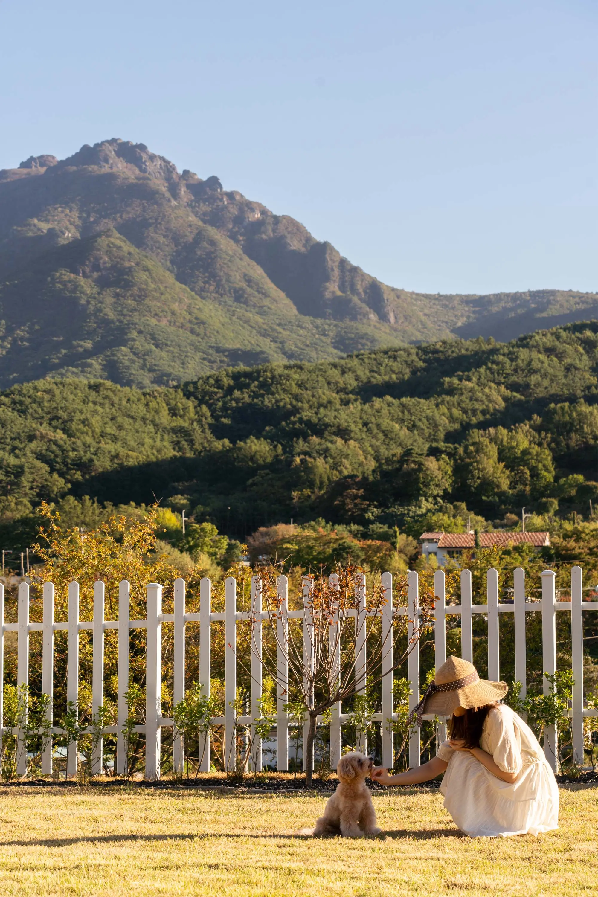 흰 울타리와 가야산 능선이 보이는 잔디운동장